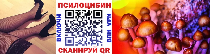 Псилоцибиновые грибы Cubensis  Дубовка 