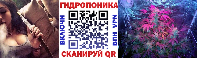 Бошки Шишки THC 21% Дубовка